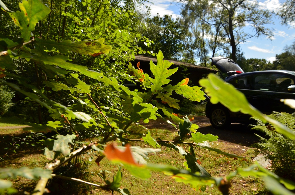 2016-08-20 South Wales/DSC_0090.JPG